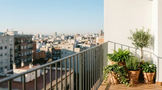 Balcón urbano con plantas verdes recibiendo luz solar directa, composición minimalista
